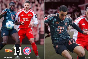 PG电子线上登入-拜仁慕尼黑再胜柏林赫塔，稳坐榜首的简单介绍